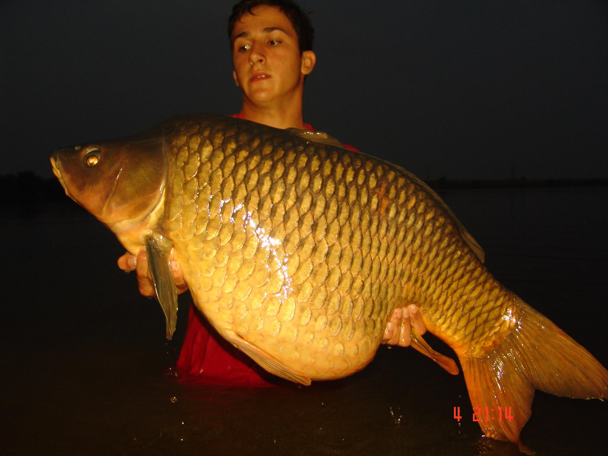 SENZOR OLDIES - dsc07605.JPG